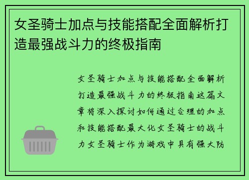 女圣骑士加点与技能搭配全面解析打造最强战斗力的终极指南