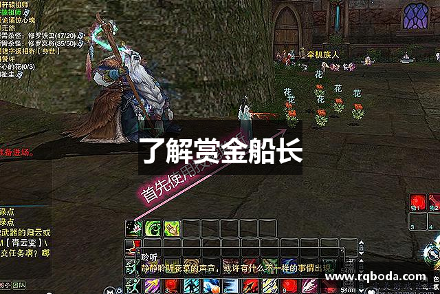 了解赏金船长
